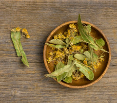 Bhringraj Extract